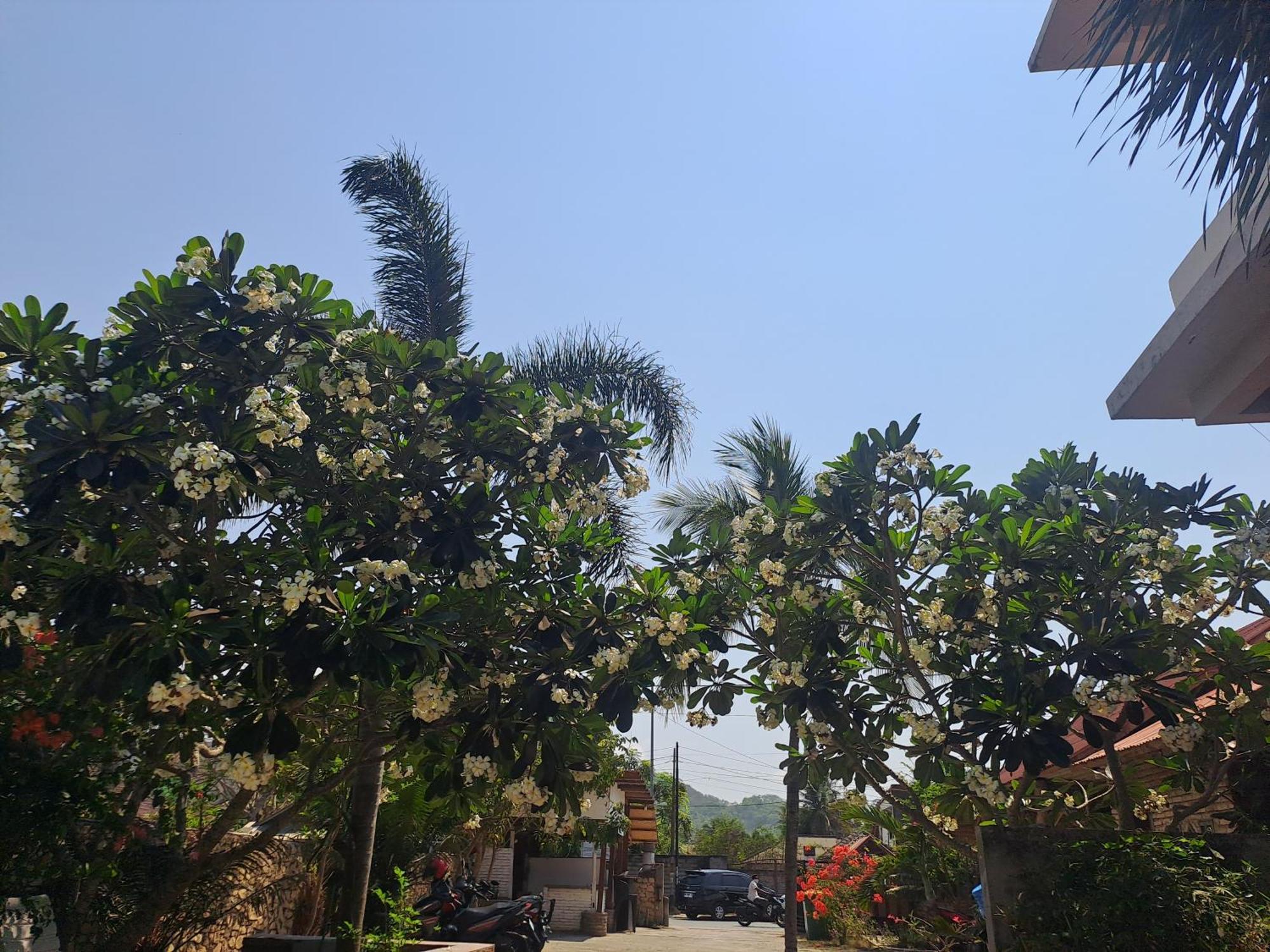 Kutabay Homestay Kuta  Bagian luar foto